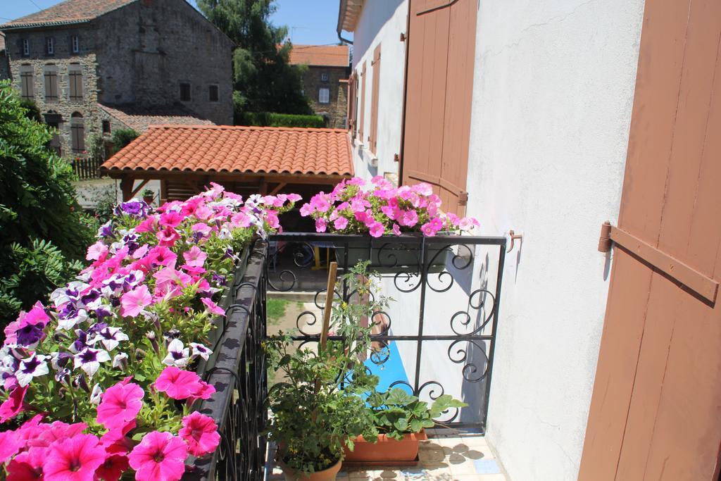 La Maison Des Chats Saint-Mary-le-Plain Exterior photo